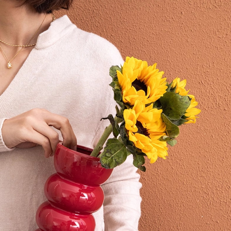 Light Luxury Black Ceramic Vase Entrance Decoration